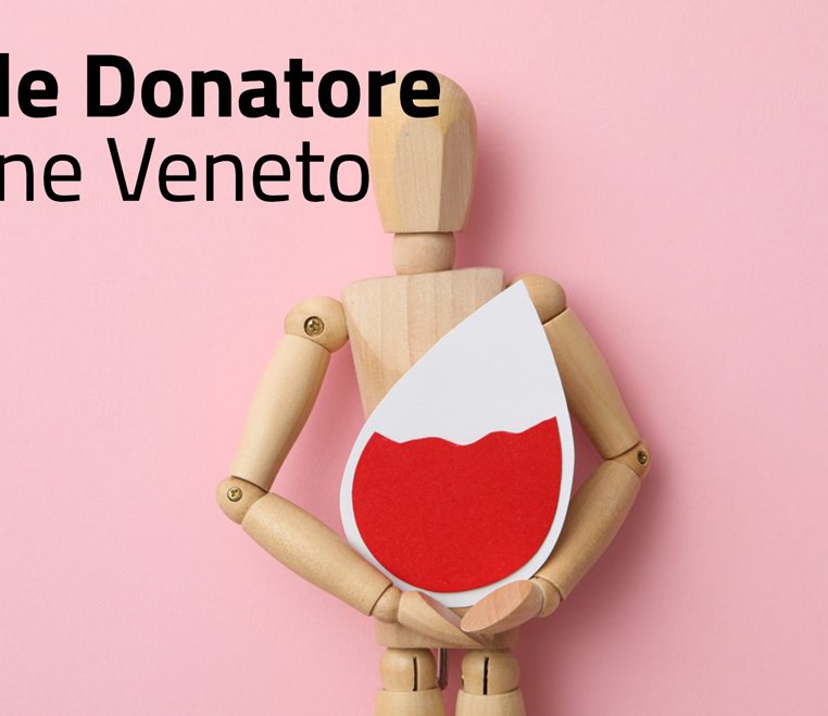 portale-donatore2